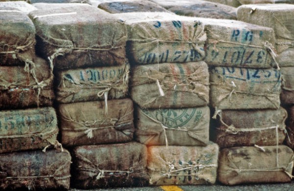 Columbian Gold Bales
